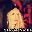 Stevie Nicks Impersonator